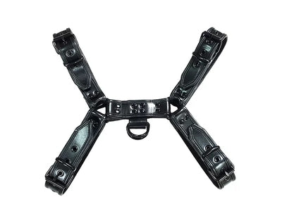 Black Leather Front Harness With Black Accessories