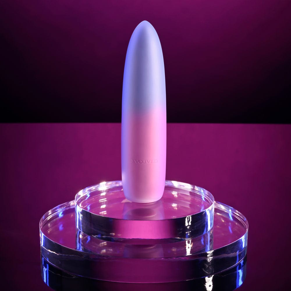 Evolved PARADISE BULLET - Pink/Purple 10.2 cm USB Rechargeable Bullet