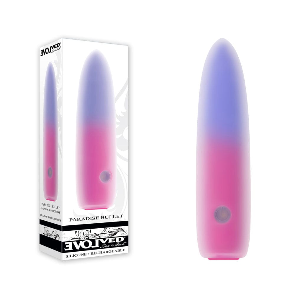 Evolved PARADISE BULLET - Pink/Purple 10.2 cm USB Rechargeable Bullet Coloured