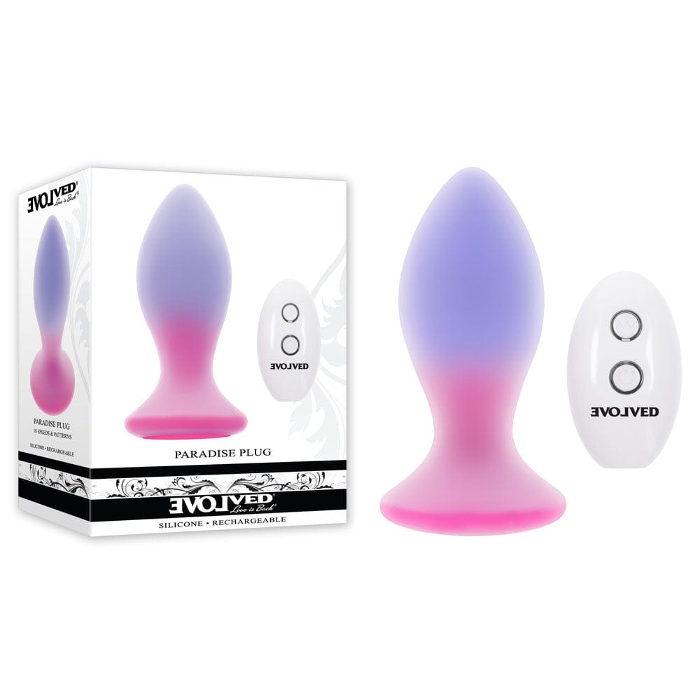 Evolved PARADISE PLUG - Pink/Purple 10.5 cm USB Rechargeable Vibrating Butt Plug with Wireless Remote Coloured