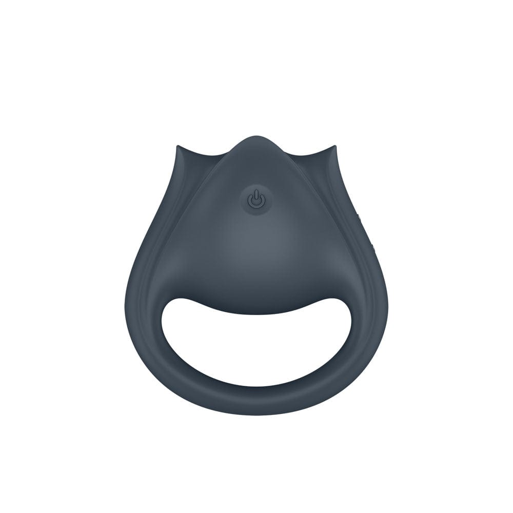 Satisfyer Perfect Pair 2 - Grey USB Rechargeable Vibrating Couples Cock Ring