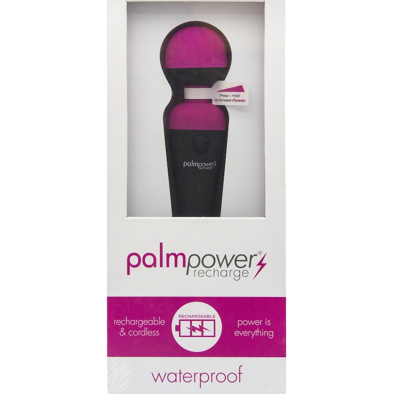 PalmPower Massage Wand Recharge Waterproof