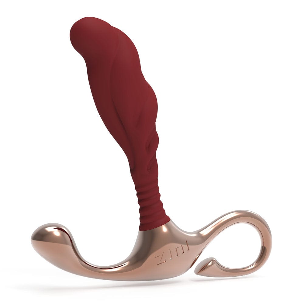 Zini Janus Lamp Iron - Medium Zini