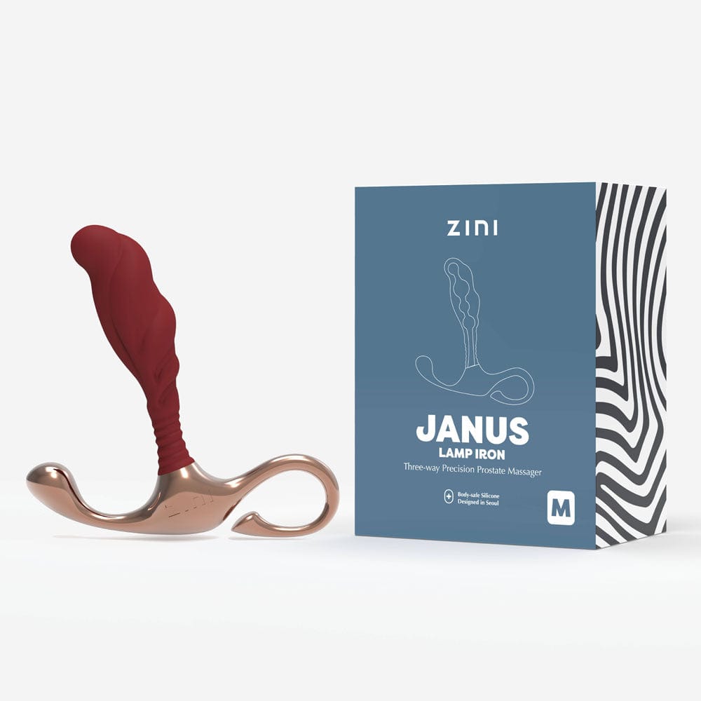 Zini Janus Lamp Iron - Medium Zini