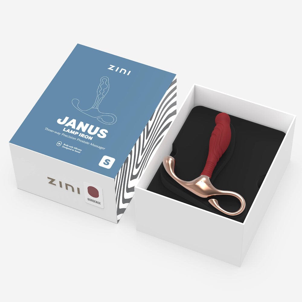 Zini Janus Lamp Iron - Small Zini