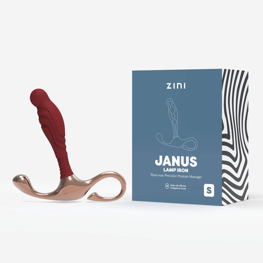 Zini Janus Lamp Iron - Small Zini